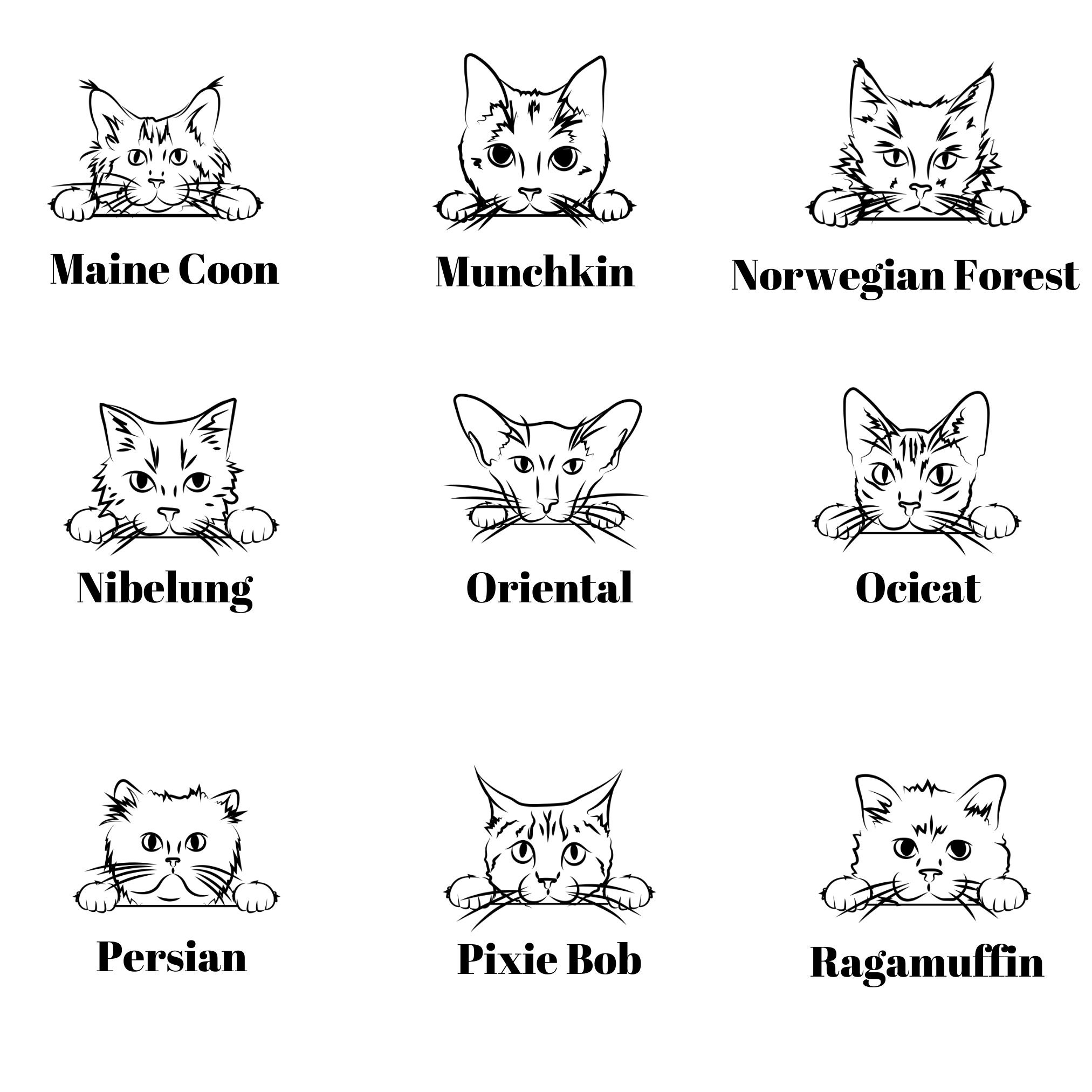 Custom Personalized Cat Breed Name Sweatshirt …