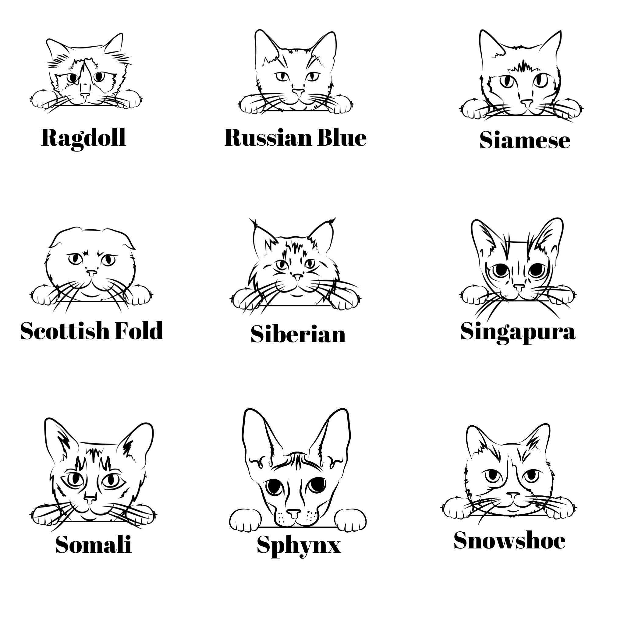 Custom Personalized Cat Breed Name Sweatshirt …