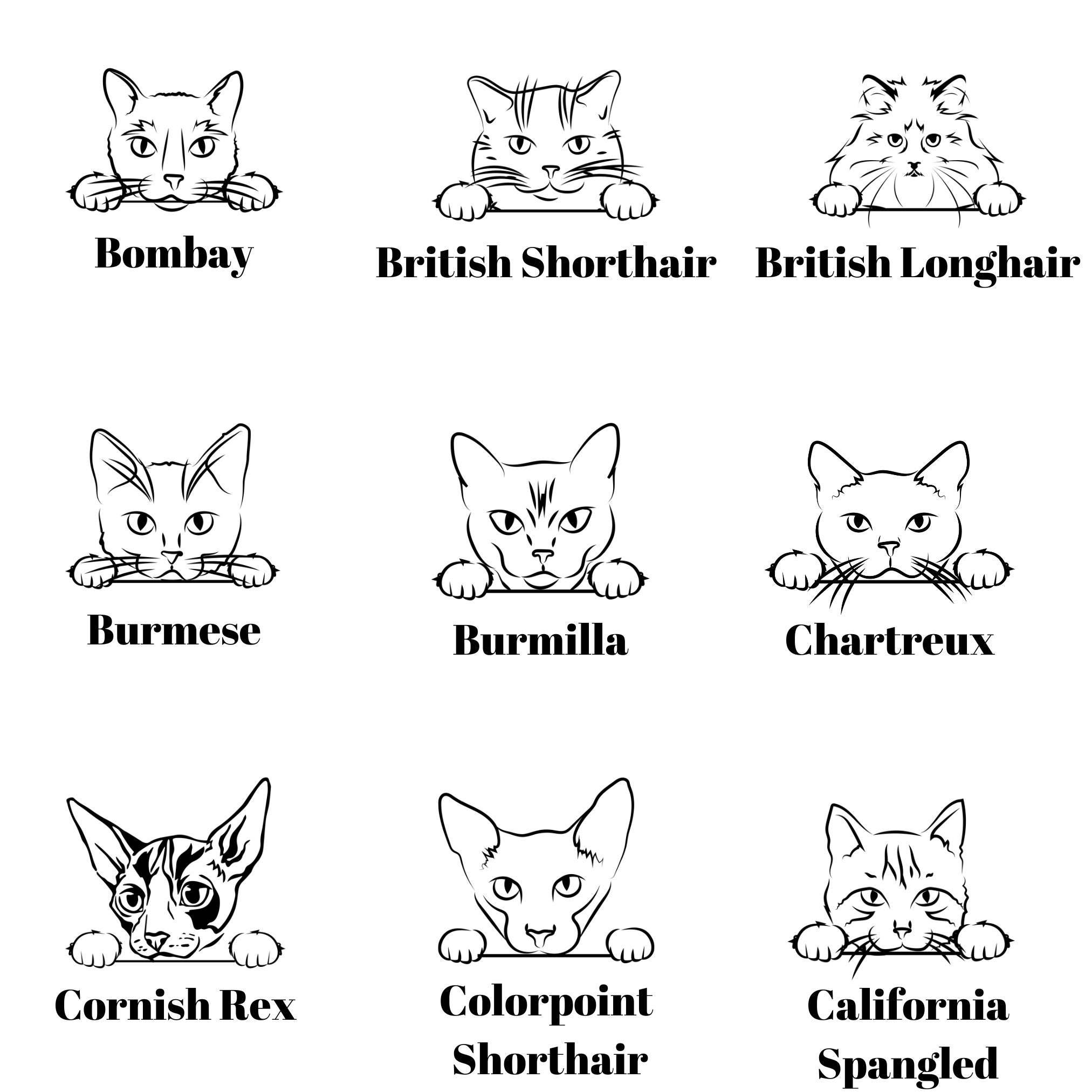 Custom Personalized Cat Breed Name Sweatshirt Cr…