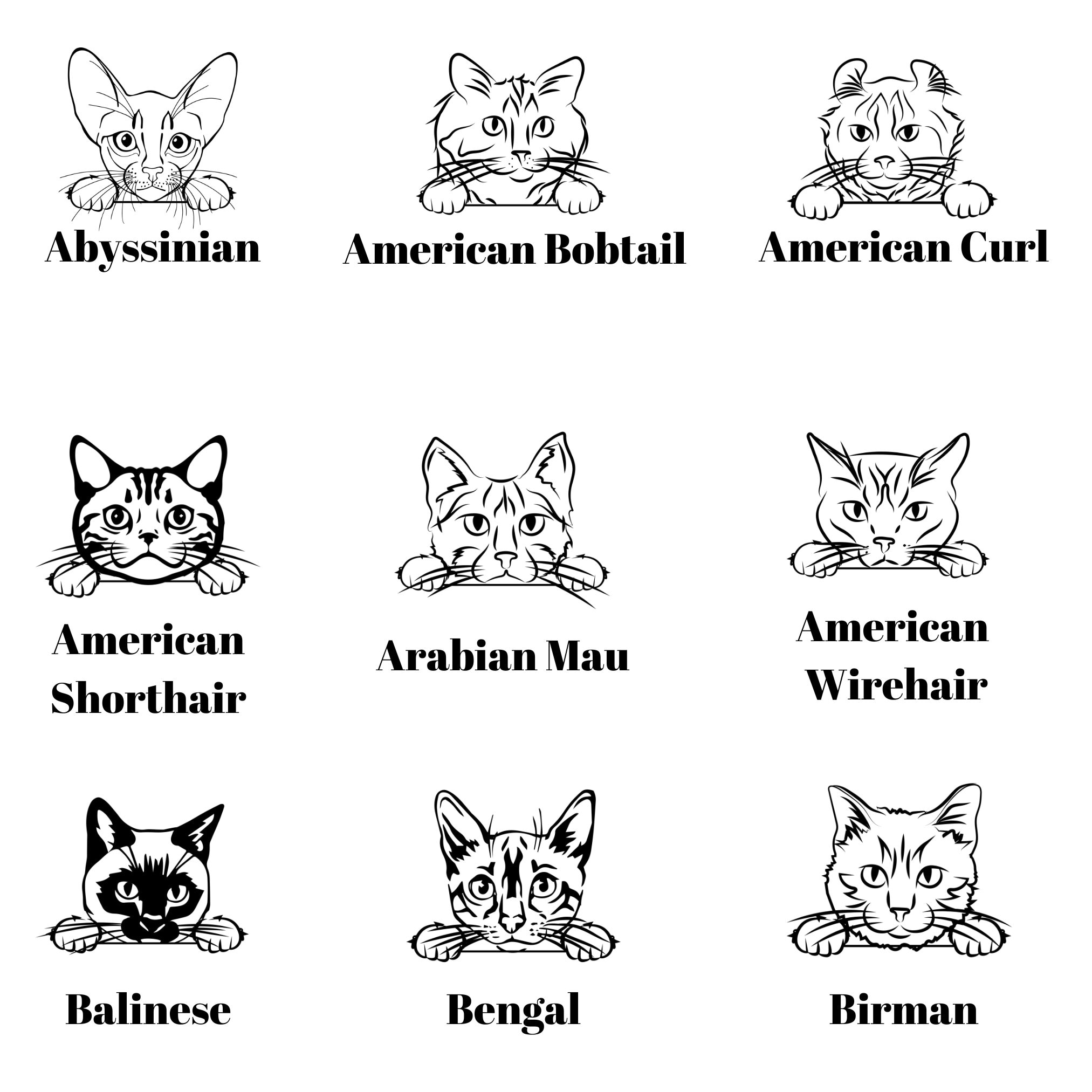 Custom Personalized Cat Breed Name Sweatshirt …