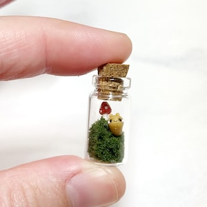 May include: A miniature glass bottle with a cork stopper, containing a small diorama. Inside, there's green moss, a red-and-white mushroom, and a tiny yellow creature. The bottle is held between fingers.