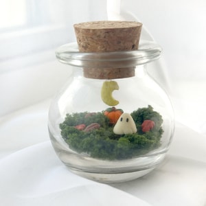 May include: A glass jar with a cork stopper, containing a miniature Halloween scene. Inside, there's green moss, a small white ghost, an orange pumpkin, and a yellow crescent moon. Decorative autumn leaves and nuts complete the seasonal display.
