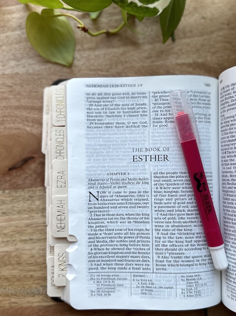 May include: Close-up of an open Bible with a pink highlighter on the page. The page is open to the Book of Esther, Chapter 1. The text on the page describes the king's feast and the queen's disobedience.