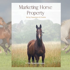 Puede incluir: Un caballo marrón se encuentra en un campo de hierba alta, mirando directamente a la cámara. El caballo tiene una estrella blanca en la frente y lleva una cabezada negra. El fondo es un campo brumoso con árboles en la distancia. El texto "Marketing Horse Property" y "Selling Preparations & Checklist" está en la parte superior de la imagen. El texto "The Connected Agent" está en la parte inferior de la imagen.