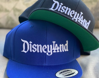 Dodgers Disneyland Baseball Theme Park 