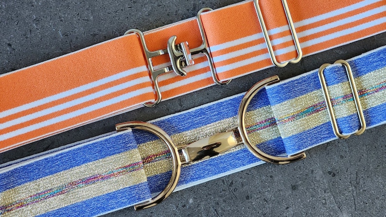 Pode incluir: Dois cintos el&aacute;sticos com estilos de fivela diferentes. Um cinto &eacute; laranja com listras brancas e uma fivela prateada. O outro cinto &eacute; azul com uma faixa dourada e uma fivela dourada.