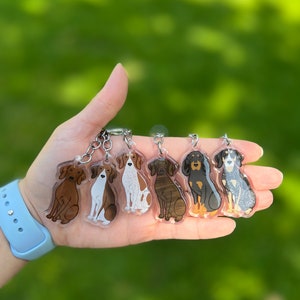 Puede incluir: Seis llaveros de diferentes razas de perros, cada uno con una raza de perro diferente. Los llaveros están hechos de acrílico transparente y presentan una ilustración colorida de un perro. Los llaveros están colgados de cadenas plateadas.