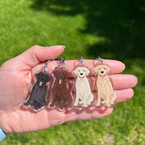 porte-clés pour chien labrador retriever | Cadeau mignon pour chien | Porte-clés de race d'animal de compagnie
