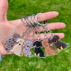 Dachshund Wiener Acrylic Dog Breed Keychain | Pet Loss Memorial Gift | Cute Dog Gift | Pet Breed Keyring