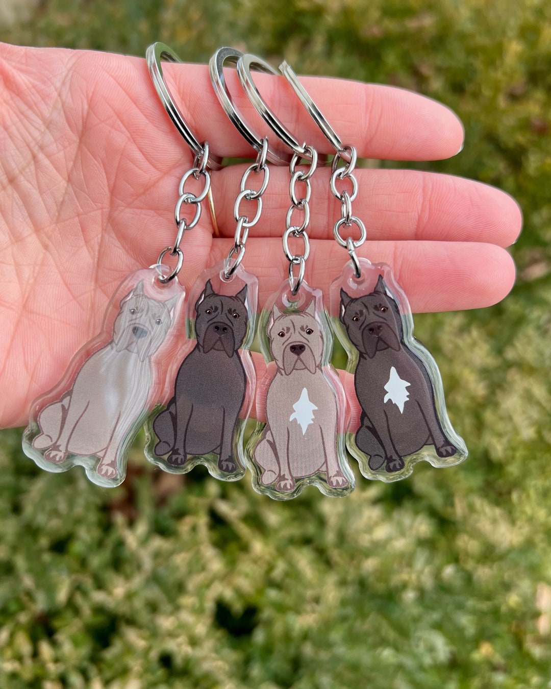 Cane Corso Keychain Clear Acrylic Dog Breed Keychain Cane Corso Dog