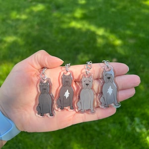 Cane Corso Dog Keychain | Cute Dog Gift | Pet Breed Keyring