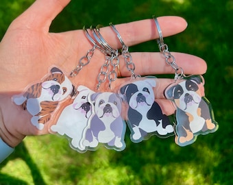 English Bulldog Acrylic Dog Breed Keychain l  Gift | Cute Dog Gift | Pet Breed Keyring