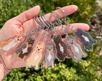 American Bully Clear Acrylic Dog Breed Keychain  | American Bully Keyring | Pet Loss Memorial Gift | Cute Dog Gift