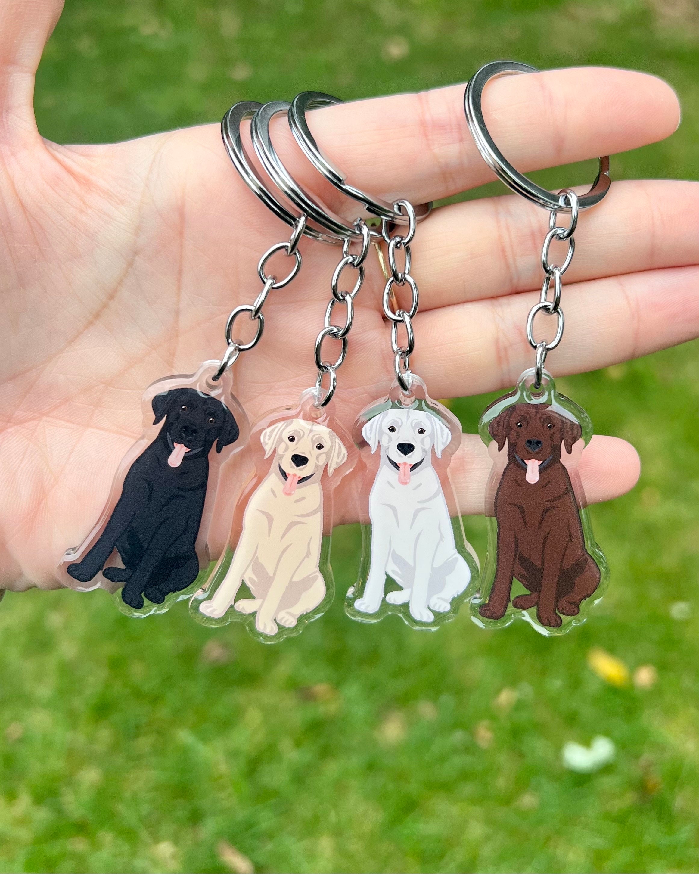Black lab clearance accessories