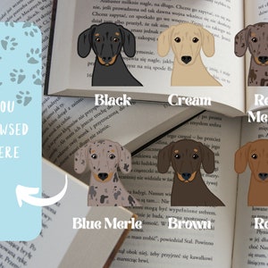 Peut inclure: Un ensemble de six marque-pages illustr&eacute;s de teckels, chacun pr&eacute;sentant une couleur et un motif diff&eacute;rents. Les marque-pages sont &eacute;tiquet&eacute;s avec la couleur et le motif du chien&nbsp;: Noir, Cr&egrave;me, Merle rouge, Merle bleu, Brun et Rouge. Les marque-pages sont plac&eacute;s sur des livres ouverts.