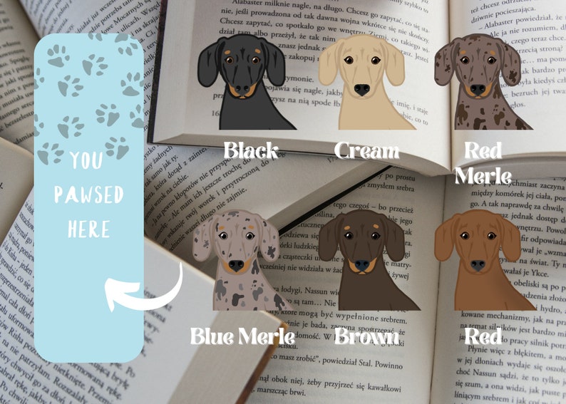 Peut inclure: Un ensemble de six marque-pages illustr&eacute;s de teckels, chacun pr&eacute;sentant une couleur et un motif diff&eacute;rents. Les marque-pages sont &eacute;tiquet&eacute;s avec la couleur et le motif du chien&nbsp;: Noir, Cr&egrave;me, Merle rouge, Merle bleu, Brun et Rouge. Les marque-pages sont plac&eacute;s sur des livres ouverts.