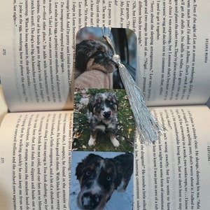 May include: A bookmark featuring three photos of a blue merle Australian Shepherd puppy. The puppy is looking at the camera in each photo. The bookmark is made of cardstock and has a silver tassel.