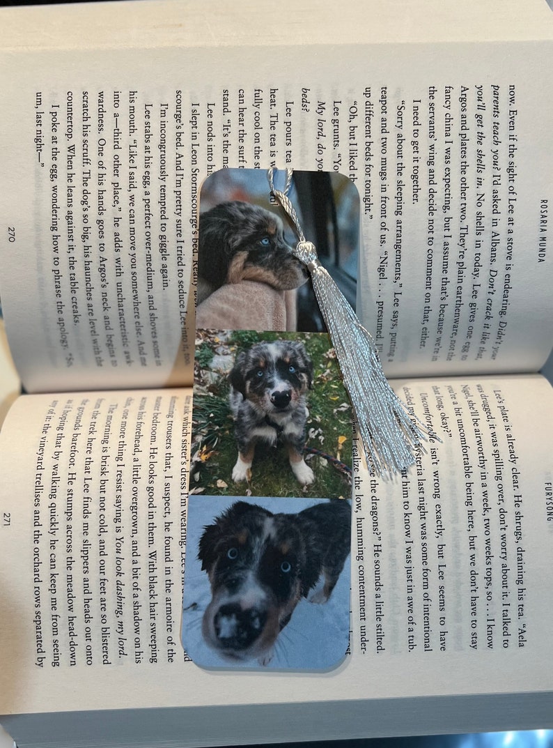 May include: A bookmark featuring three photos of a blue merle Australian Shepherd puppy. The puppy is looking at the camera in each photo. The bookmark is made of cardstock and has a silver tassel.