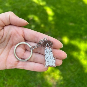 May include: A clear acrylic keychain featuring a brown and white German Shorthaired Pointer dog.