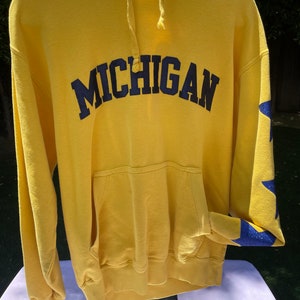 Vintage repurposed Michigan hoodie S/M