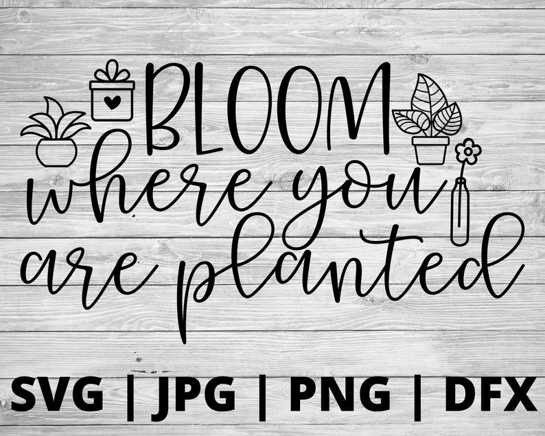 Download Plant Svg Design Plant Svg Plants Svg Bloom Svg Crazy Plant Lady Svg Bloom Where You Are Planted Svg Plant Mom Svg Clip Art Art Collectibles Baby Land Co Il