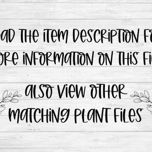 Peut inclure: Texte sur un fond en bois qui dit "Read The item DESCRIPTION FOR MORE INFORMATION ON THIS FILE. ALSO View OTHER MATCHING PLANT FILES".