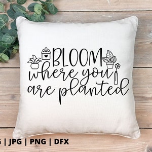 Bloom where you are planted SVG | Pflanzensvg | Bloom svg | Pflanzenmama svg | Pflanzen svg Design | Pflanzenshirt Svg | Pflanzen svg