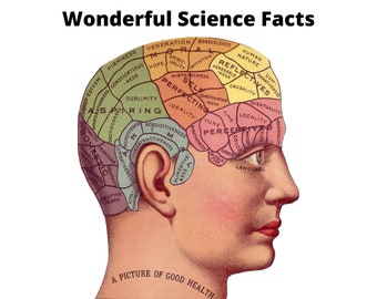 The Big Print Cryptogram Book of Weird and Wonderful Science Facts