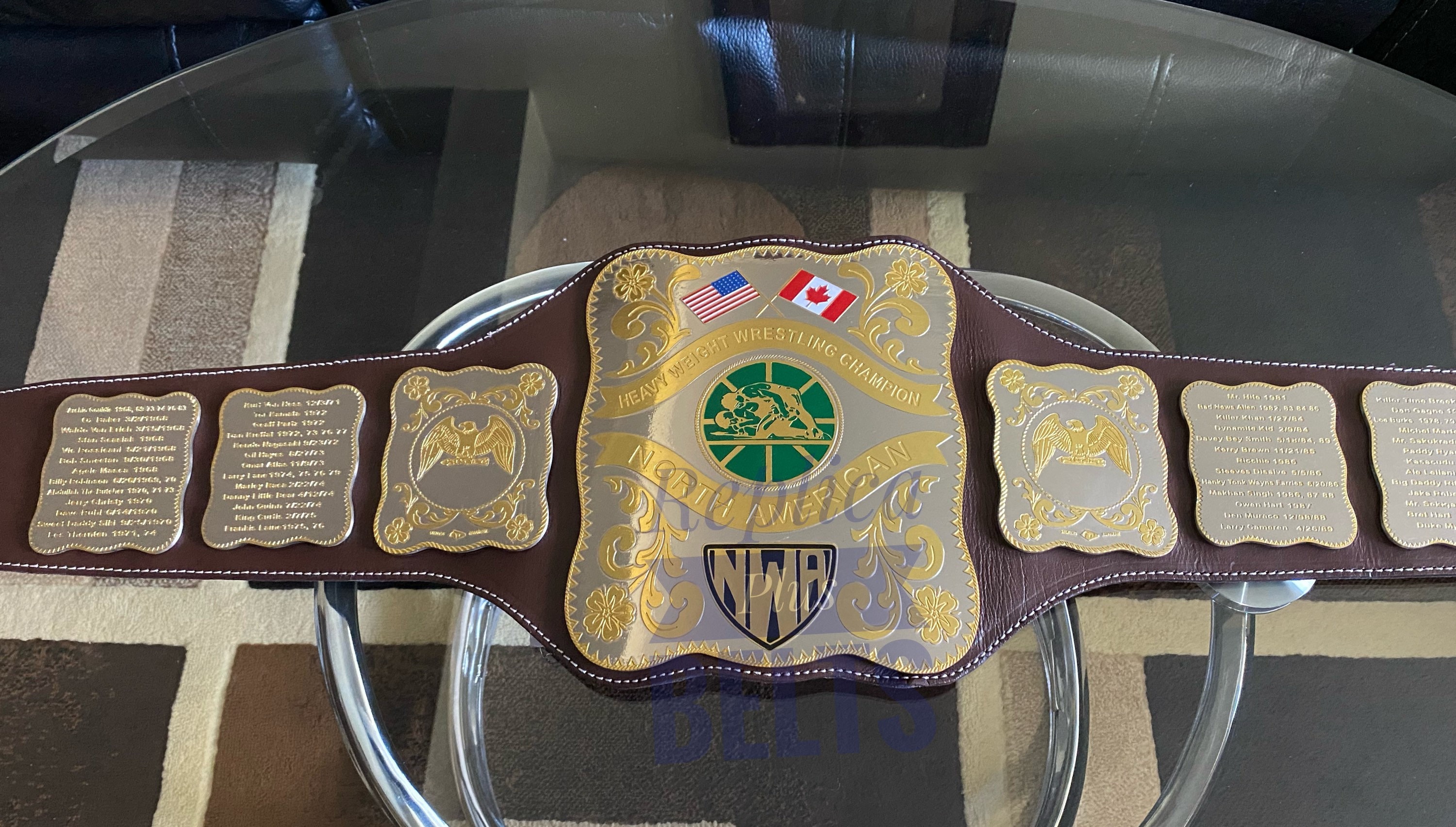 NWA Stampede North American Heavyweight Championship Belt Etsy Canada