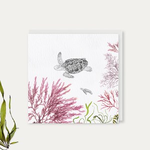 Carte de voeux tortue // algues pressées de Cornouailles