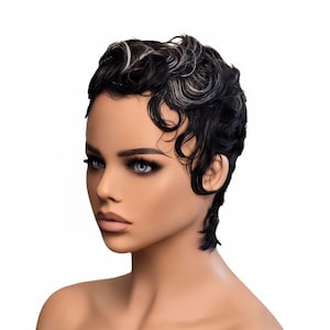 Wet & Wavy Pixie Wig: 100% Human Hair, Glueless, Beginner-Friendly - ALI