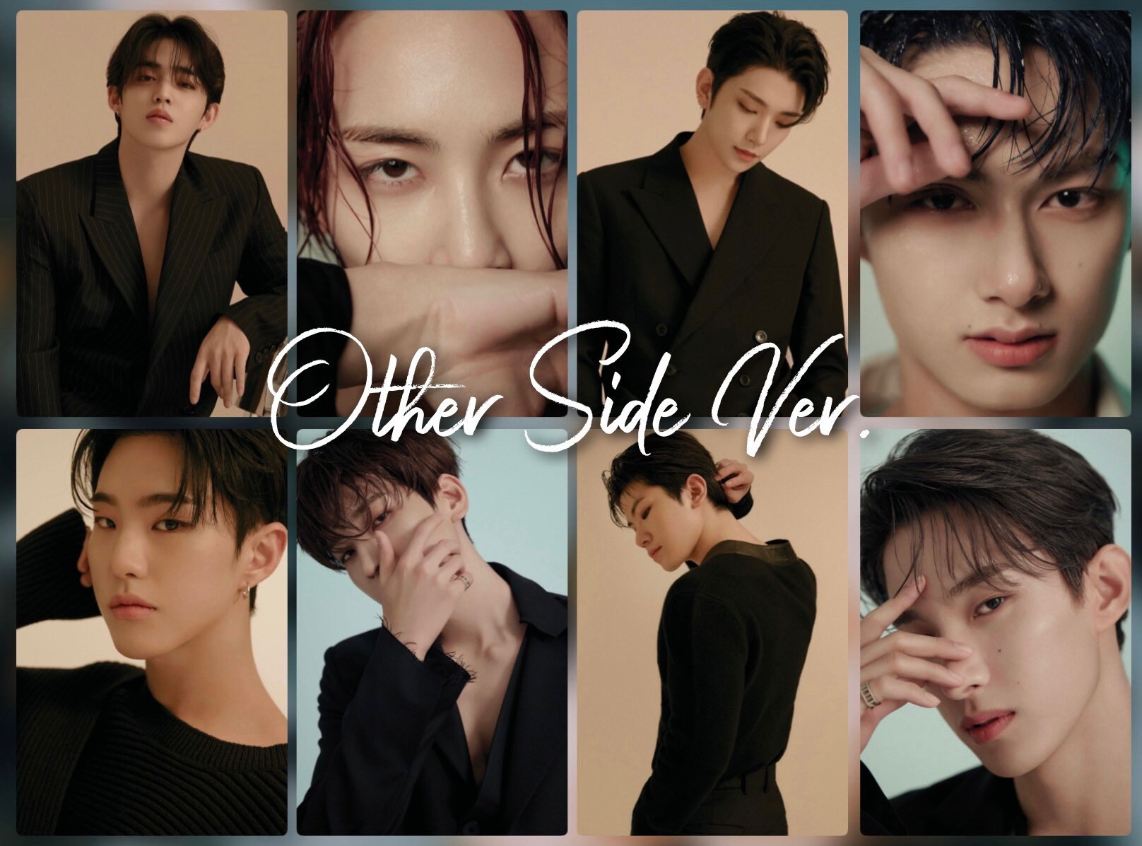 Seventeen Your Choice : OTHER SIDE Ver. Photocard’s / Polaroids