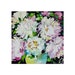 see more listings in the peinture de fleurs petit pl section