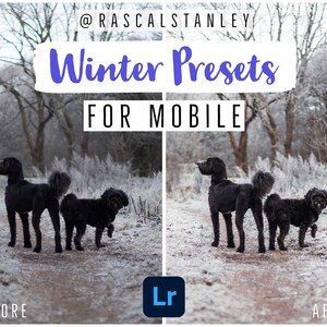 MOBILE-ONLY - Winter Preset Pack von @rascalstanley