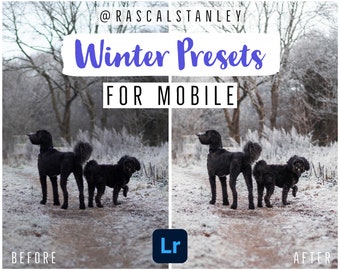 MOBILE-ONLY - Winter Preset Pack by @rascalstanley