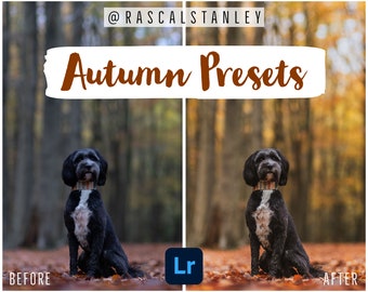 Autumn Preset Pack by @rascalstanley
