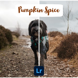 Autumn Preset Pack by rascalstanley image 4