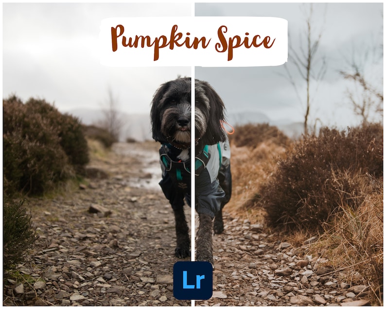Autumn Preset Pack by rascalstanley image 4