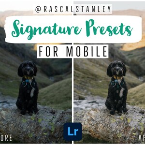 MOBILE-ONLY Signature Preset Pack by rascalstanley image 1