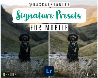 MOBILE-ONLY - Signature Preset Pack by @rascalstanley