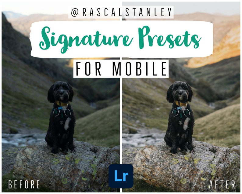 MOBILE-ONLY Signature Preset Pack by rascalstanley image 1