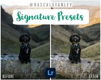 Signature Preset Pack by @rascalstanley