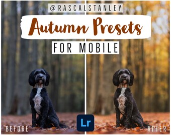 MOBILE-ONLY - Autumn Preset Pack by @rascalstanley