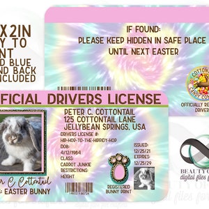 Sublimation de permis de conduire de lapin de Pâques 4 fichiers png inclus Lapin de Pâques rose et bleu recto-verso prêt à imprimer sublimation 300 dpi