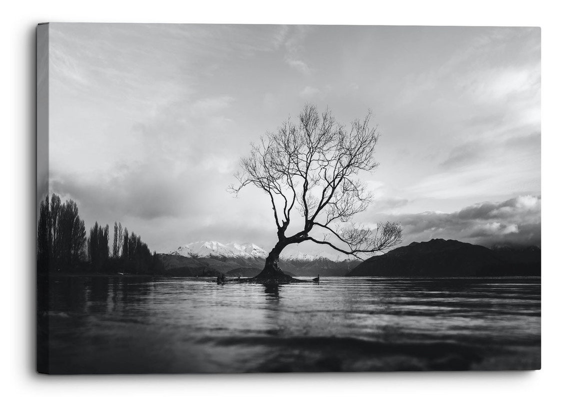 The Wanaka Tree New Zealand Canvas Wall Art Picture Home Etsy