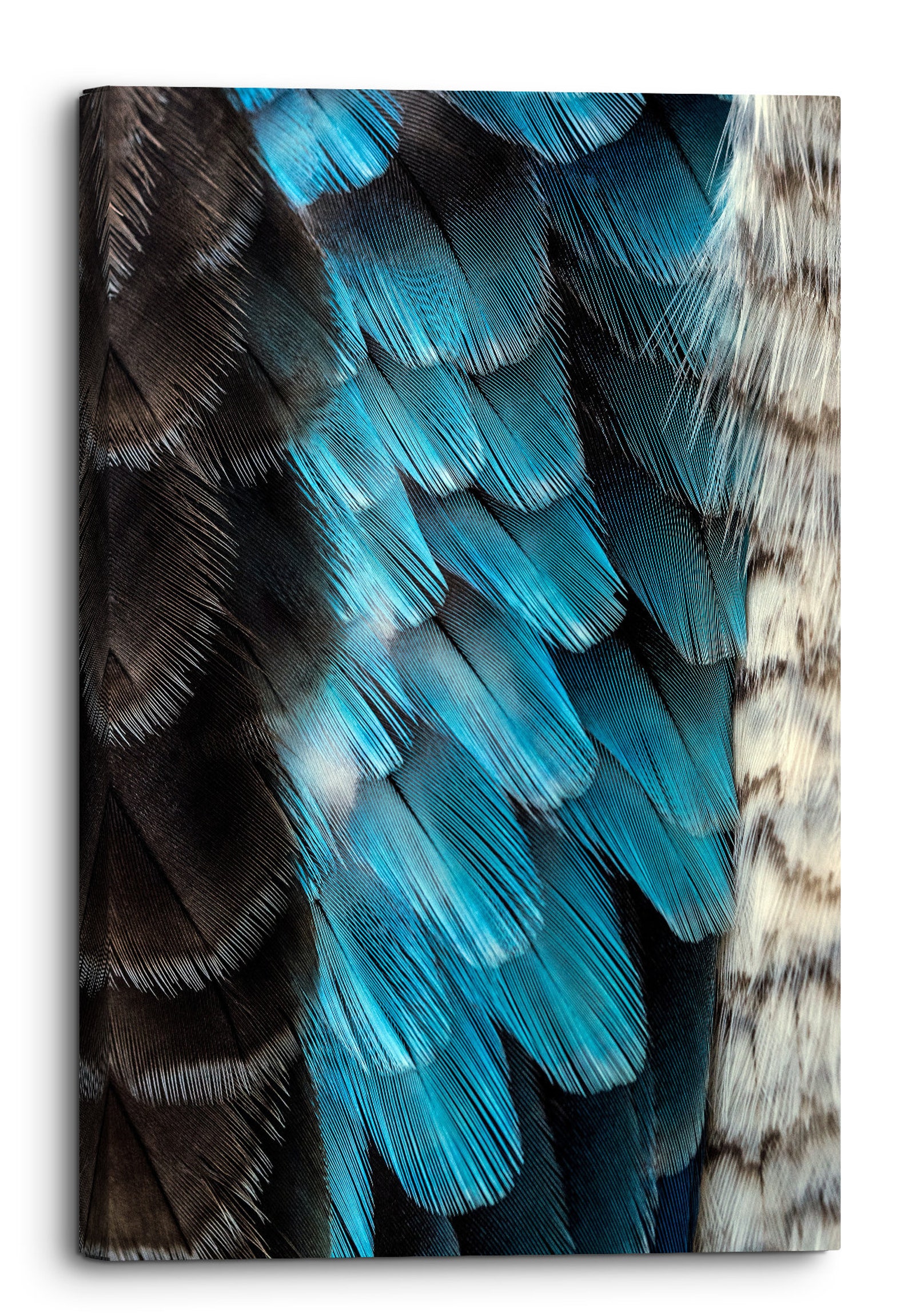 BlueWinged Kookaburra Feathers Canvas Wall Art Picture Home Etsy