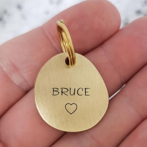 Op de afbeelding: Een goudkleurige, ovale dierenpenning met een hartsymbool en de naam "BRUCE" in zwart gegraveerd. De penning is bevestigd aan een goudkleurige ring. De penning wordt in een hand gehouden.