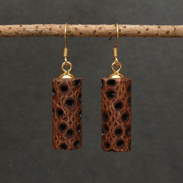 Banksia Cylinder Wooden Earrings - Natural seed pod - Round Wood Natural - Sustainable Jewellery Handmade, Australian Native Gift for her