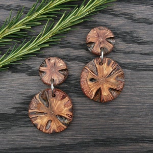 Banksia Round Studs - Natural Wooden Earrings - Eco Friendly Circle - Simple Sustainable Jewellery Handmade, Australian Native Gift for her
