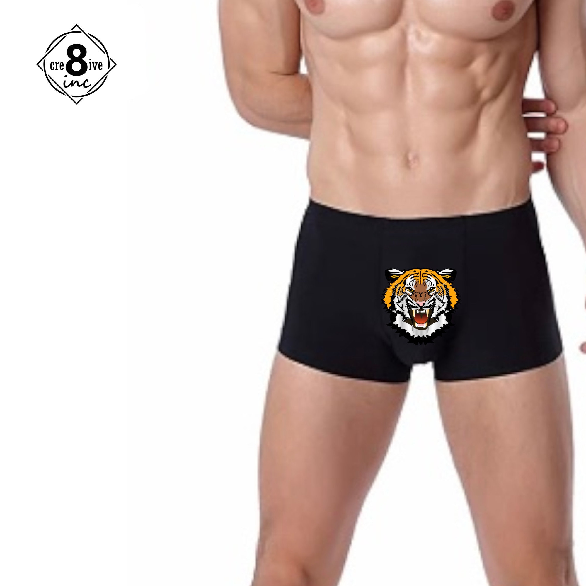 Buy Tiger Mens Boxer Briefs Online in India 